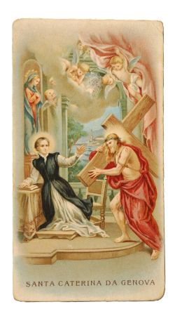 Santa Caterina Fieschi Adorno