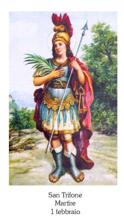 San Trifone